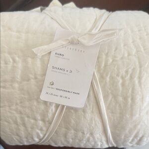 Pottery Barn Cream Euro Shams - Set of 3